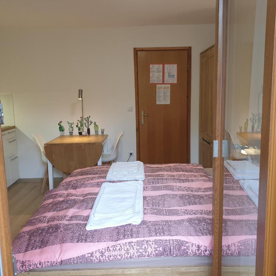 Apartmaji Pri Medvedu Studio Rudnica Bohinj Exterior photo