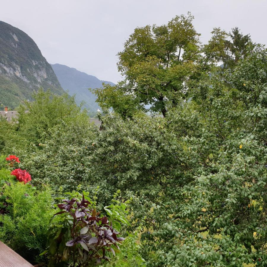 Apartmaji Pri Medvedu Studio Rudnica Bohinj Exterior photo
